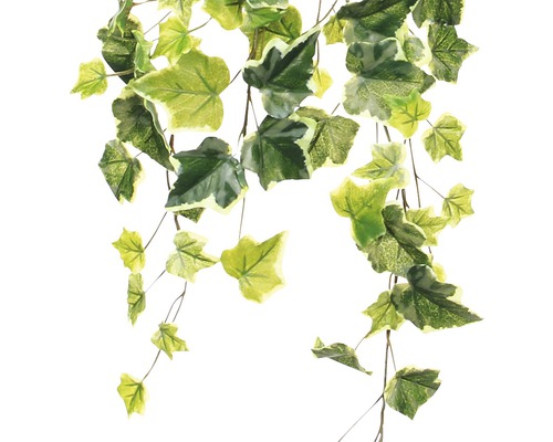 Iederă artificială cu frunze verzi ca decorațiune