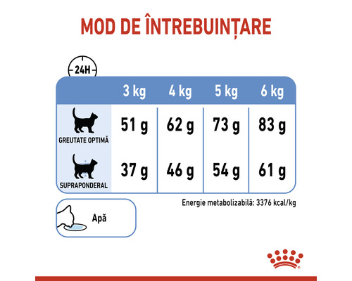 Recomandare de hrănire cu hrană pentru pisici în funcție de greutate și stare