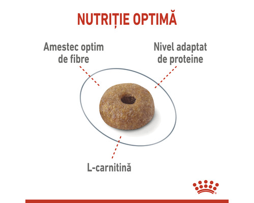 O singură bucată de hrană uscată pentru câini cu compoziție optimă de nutrienți