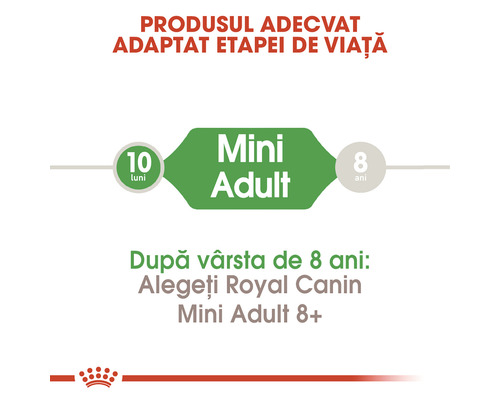 Potrivit pentru etapa de viață: Royal Canin Mini Adult de la 10 luni la 8 ani