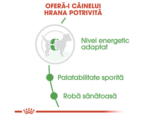 Ilustrație despre nutriția corectă a câinelui cu nivel energetic adaptat, palatabilitate sporită și blană sănătoasă