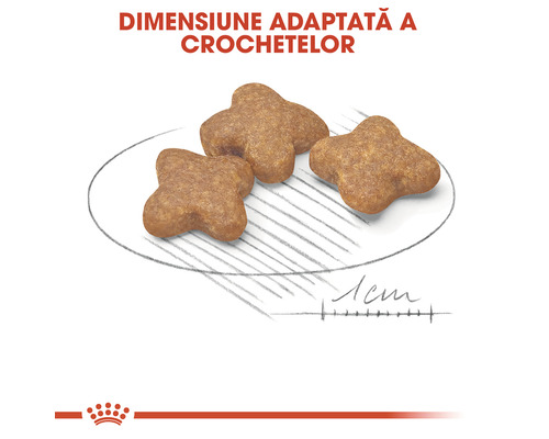 Trei bucăți de hrană uscată pentru animale de companie pe o farfurie schițată