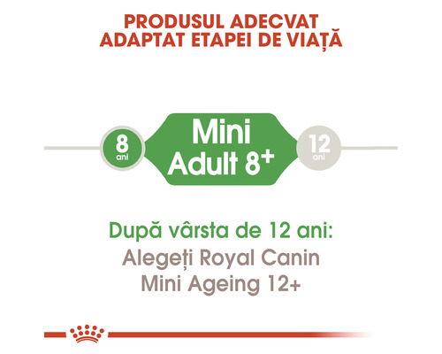 Informații despre produsul Royal Canin Mini Adult 8+ privind etapa de viață a câinelui