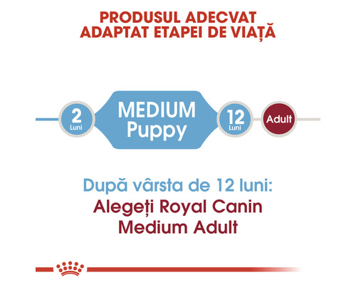 Recomandare de hrănire Royal Canin Medium Puppy pentru câini de la 2 la 12 luni