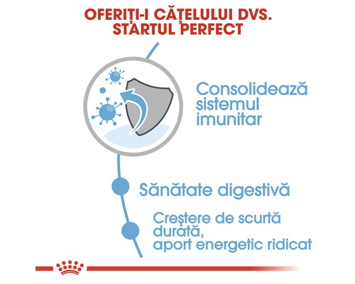 Consolidarea sistemului imunitar, sănătate digestivă, creștere de scurtă durată, aport energetic ridicat