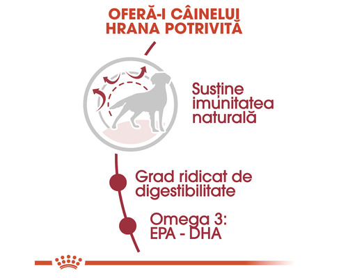 Informații despre susținerea imunității naturale și gradul ridicat de digestibilitate a hranei pentru câini cu Omega 3 EPA DHA