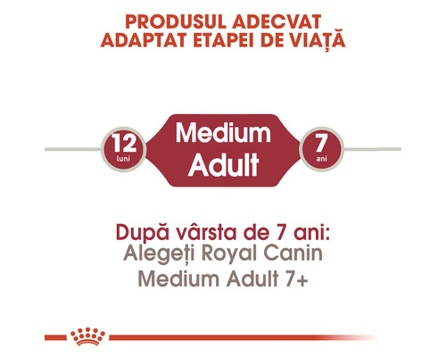 Royal Canin Medium Adult hrană pentru câini indicație de vârstă