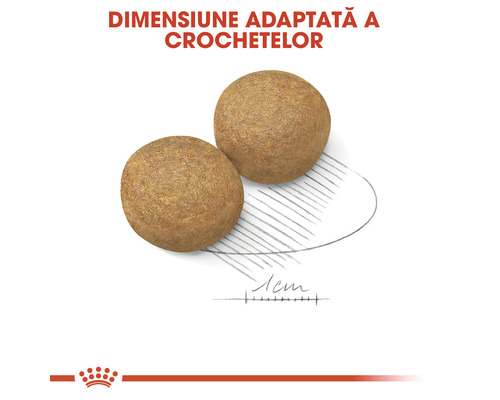 Două bucăți de hrană uscată pentru câini în formă de bilă