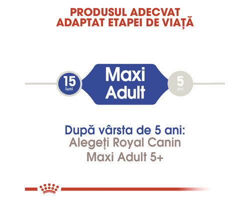 Royal Canin Maxi Adult indicație de vârstă