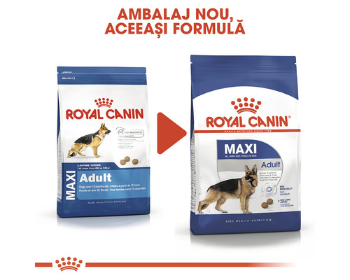 Royal Canin Maxi Adult hrană pentru câini, ambalaj nou aceeași formulă