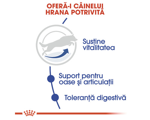 Informații despre hrana pentru câini: susține vitalitatea, susține oasele și articulațiile, toleranță digestivă