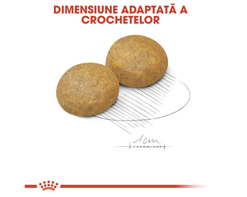 Două crochete de hrană pentru câini de dimensiuni adaptate