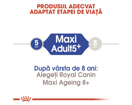 Hrană pentru câini Royal Canin Maxi Adult 5+ pentru câini cu vârsta cuprinsă între 5 și 8 ani