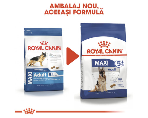 Royal Canin Maxi Adult 5 Plus hrană pentru câini, ambalaj nou