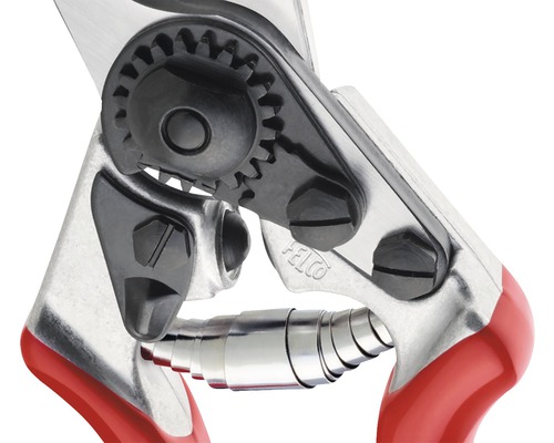 Prim-plan al unei foarfeci de grădină cu mecanism de angrenare și arc