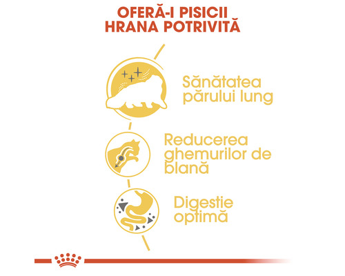 Benefits of food for cats: healthy long hair, reduces hairballs, optimal digestion.