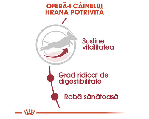Diagramă pentru susținerea vitalității, a digestibilității și a blănii hranei pentru câini
