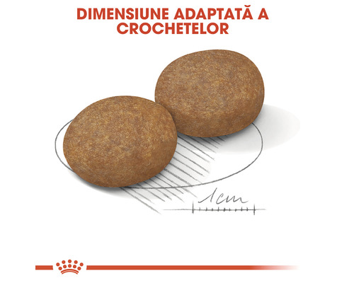 Două crochete de mâncare pentru câini