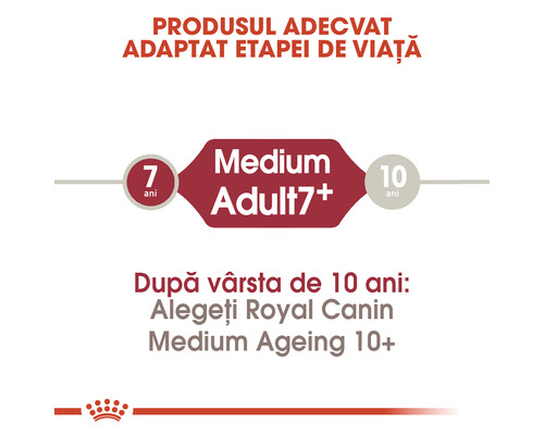 Royal Canin Medium Adult 7+ hrană uscată pentru câini de talie medie de la 7 ani