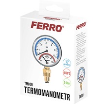 Termomanometru 80 mm, D1/2”, 0-6 bar, 0-120°C, montaj radial-thumb-1