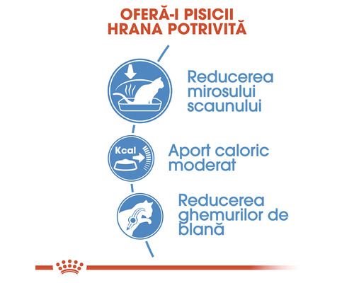 Avantajele hranei pentru pisici: Reduce mirosul scaunului, aport caloric moderat, reduce ghemotoacele de blană
