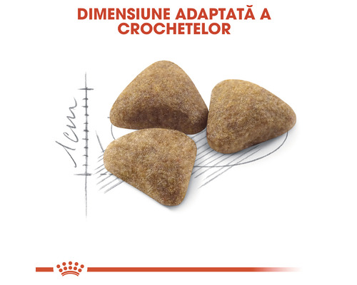 Prim-plan cu crochete de hrană pentru câini sau pisici.