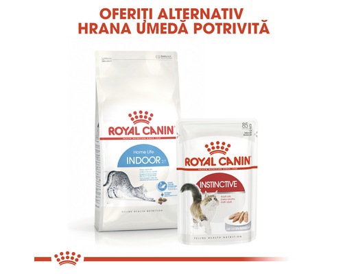 Hrană pentru pisici Royal Canin, hrană uscată și umedă