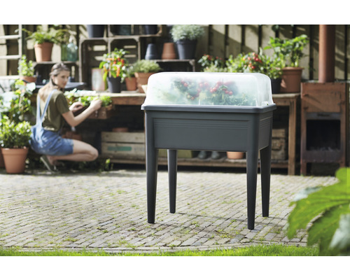 Jardinieră înălțată cu capac transparent în grădină, cu recipiente plantate în fundal.