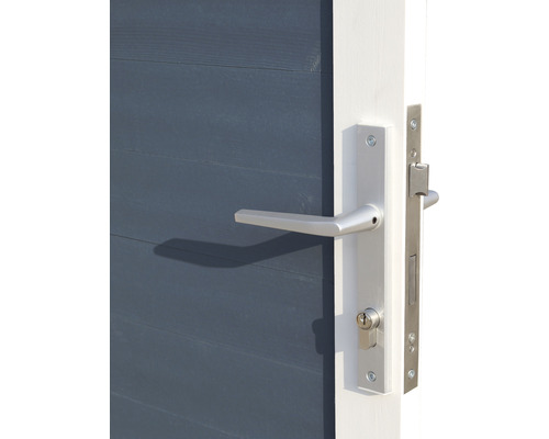 Prim-plan cu o ușă cu clanță și broască argintie