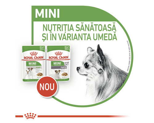 Hrană umedă pentru câini Royal Canin Mini pentru câini adulți și seniori