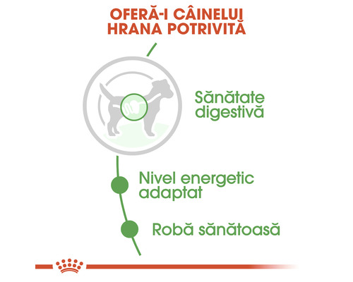 Informații despre sănătatea hranei pentru câini
