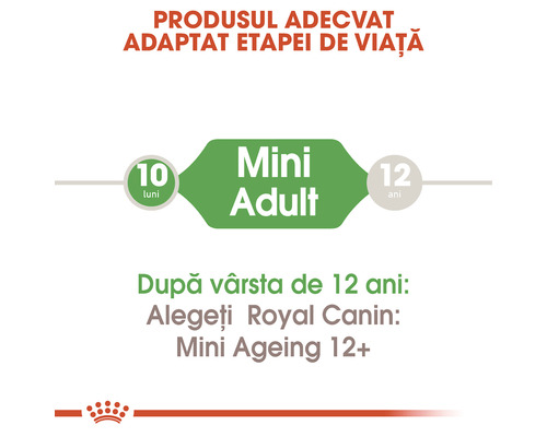 Hrană Royal Canin Mini Adult adecvată pentru câini de la 10 luni la 12 ani