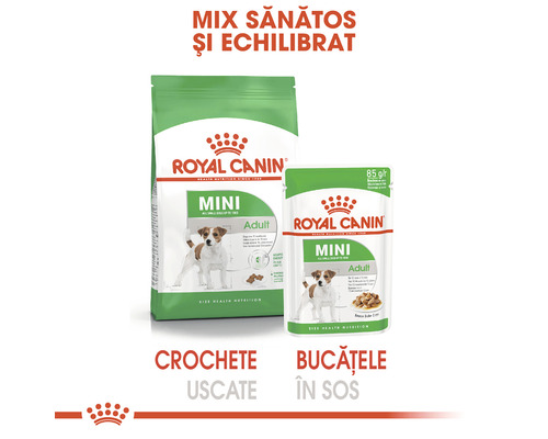 Royal Canin Mini Adult hrană uscată și umedă pentru câini