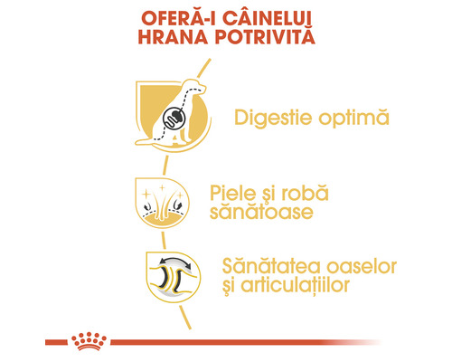 Informații despre digestie optimă, piele și blană sănătoasă, precum și oase și articulații sănătoase pentru câini