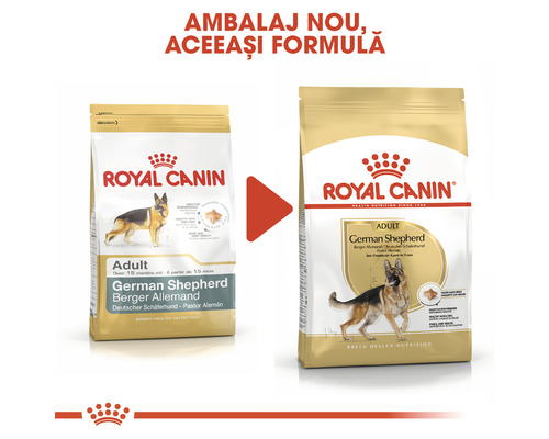 Royal Canin Adult German Shepherd hrană pentru câini, ambalaj nou