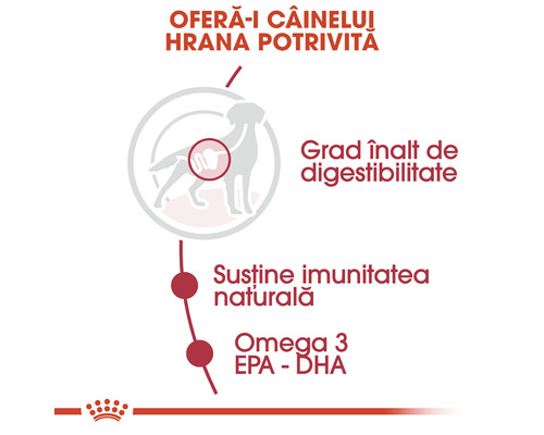 Informații privind digestibilitatea hranei pentru câini