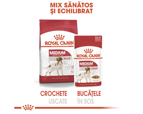 Royal Canin Medium Adult hrană pentru câini, hrană uscată și umedă