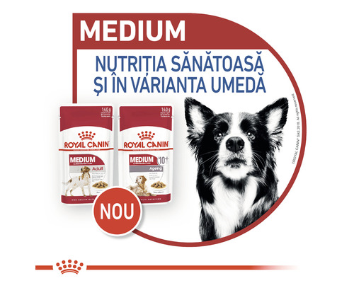 Royal Canin Medium hrană pentru câini de talie medie