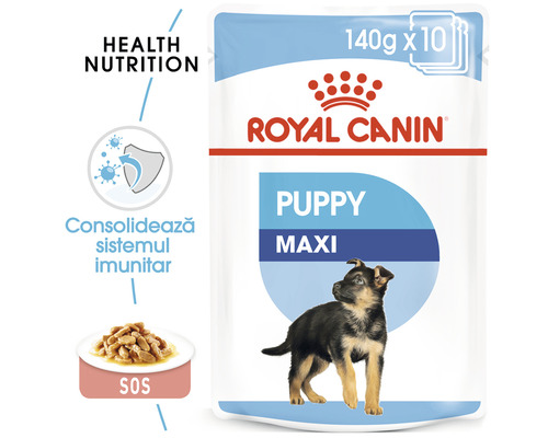 Hrană pentru căței Royal Canin Puppy Maxi, 140 de grame x 10 pachete