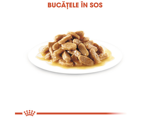 Bucățele de mâncare pentru pisici în sos pe o farfurie