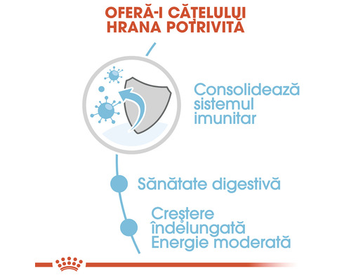 Consolidarea sistemului imunitar, susținerea sănătății digestive și conținut energetic adaptat pentru creșterea câinelui.