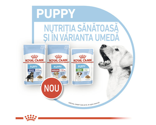 Hrană umedă Royal Canin Puppy pentru căței de diferite dimensiuni