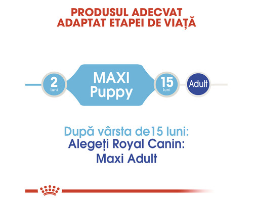 Diagrama fazelor de vârstă Royal Canin Maxi Puppy