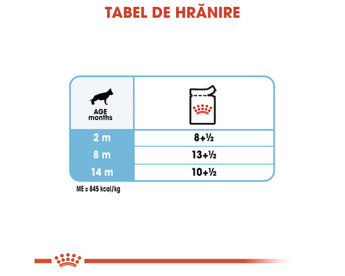 Tabel de hrănire pentru câini în funcție de vârsta în luni și cantitatea de hrană