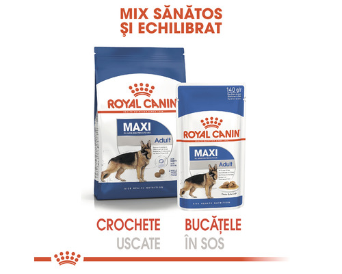 Hrană pentru câini Royal Canin Maxi Adult, hrană uscată și hrană umedă