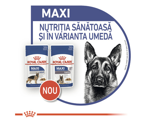 Logo Royal Canin. Hrană umedă pentru câini adulți și câini în vârstă de rase mari.