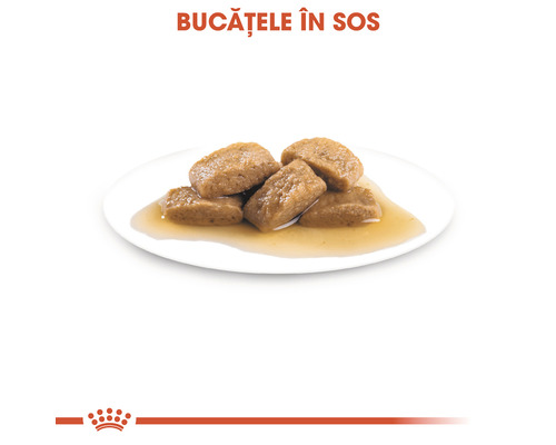 Bucățele în sos pe o farfurie