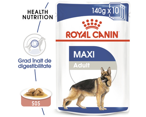 Royal Canin Maxi Adult hrană pentru câini, pachet de 10 bucăți