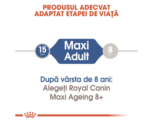 Royal Canin Maxi Adult indicație de vârstă