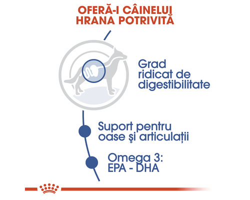 Beneficiile hranei pentru câini: digestibilitate ridicată, suport pentru oase și articulații, Omega 3 EPA DHA